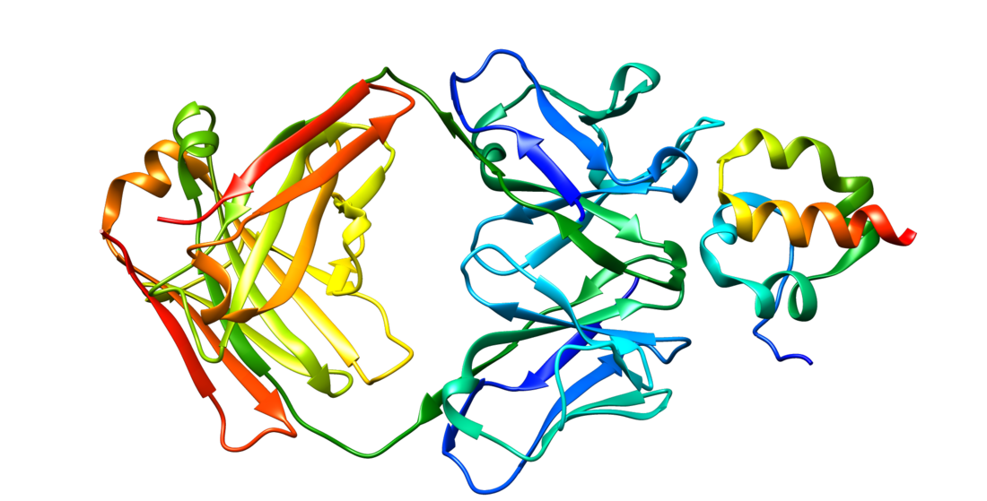 Mésothéline