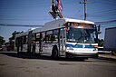 MTA NYC Bus Bx30 bus on Conner Rd.jpg