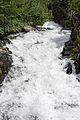 * Nomination Dösenbach stream in the Dösen Valley near Mallnitz, High Tauern National Park, Carinthia --Uoaei1 07:13, 5 November 2016 (UTC) * Promotion Good quality. --Johann Jaritz 08:16, 5 November 2016 (UTC)