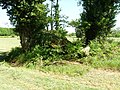 Dolmen de Thauzac.