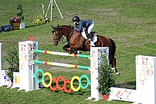Um cavalo baio e seu cavaleiro cruzam uma vertical multicolorida.