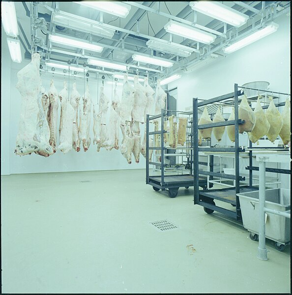 File:Meat lab, Animal Science Building, University of Guelph (I0004494).jpg