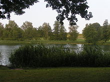 Mettmenhaslisee.jpg