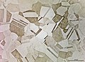 Microstructure of a stainless steel.jpg
