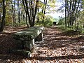 Vignette pour Table du Roi (Montigny-sur-Loing)