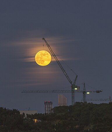 Taking pictures of the full moon from the Phoenix park in Dublin, Ireland. Photo by Anthony's astro