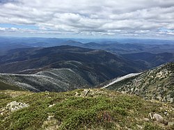 Pohled na Viktoriánské Alpy z nejvyšší hory Mount Bogongu