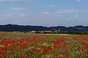 Panorama de Muruzabal