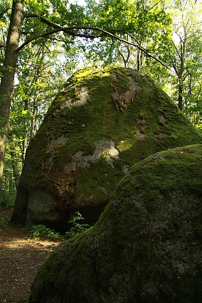 File:National monument Kynžvartský kámen in summer 2012 (6).JPG