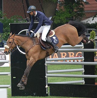<span class="mw-page-title-main">Nayel Nassar</span> Egyptian-American equestrian