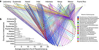 Frequency and distribution of certain bacteria in the gut of coffee bean beetle Ncomms8618-f2.jpg