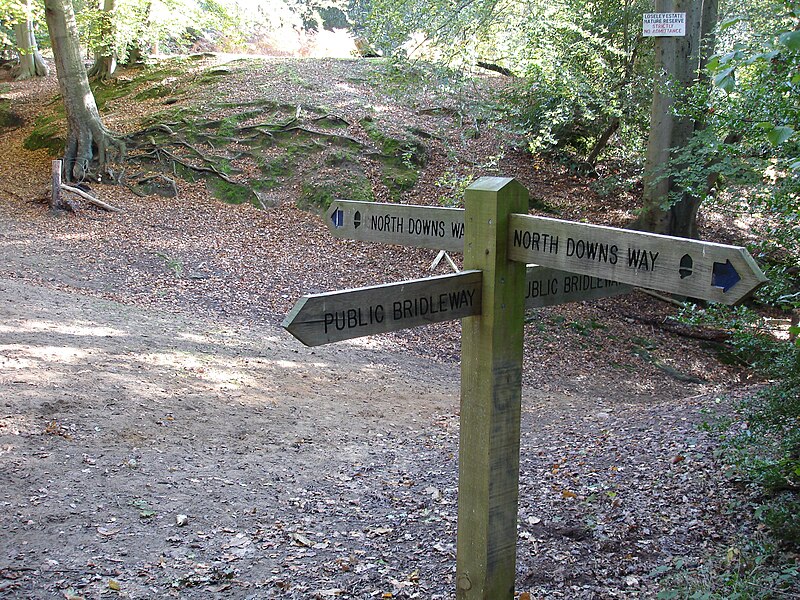 File:North downs way sign 1.jpg