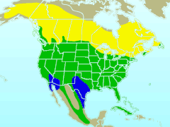 Northern Flicker-rangemap.gif