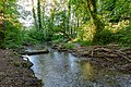 * Nomination Stever stream in the Stever valley, Uphusen hamlet, Nottuln, North Rhine-Westphalia, Germany --XRay 03:45, 10 June 2020 (UTC) * Promotion  Support Good quality -- Johann Jaritz 04:12, 10 June 2020 (UTC)