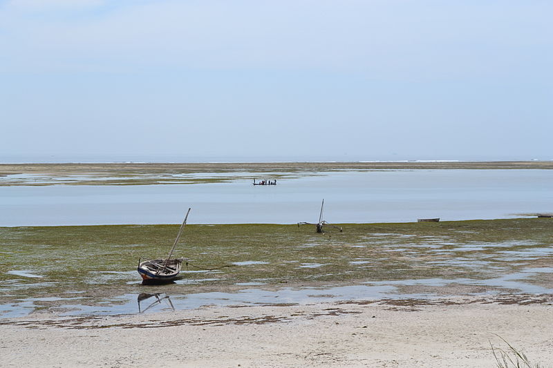 File:Nyali Beach from the Reef Hotel during low tide in Mombasa, Kenya 6.jpg