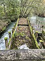 * Nomination Natural oasis of the Mulino Cervara (Cervara mill), Quinto di Treviso, Italy. --Marcok 09:45, 3 August 2024 (UTC) * Promotion  Support Good quality. --Georgfotoart 20:46, 4 August 2024 (UTC)