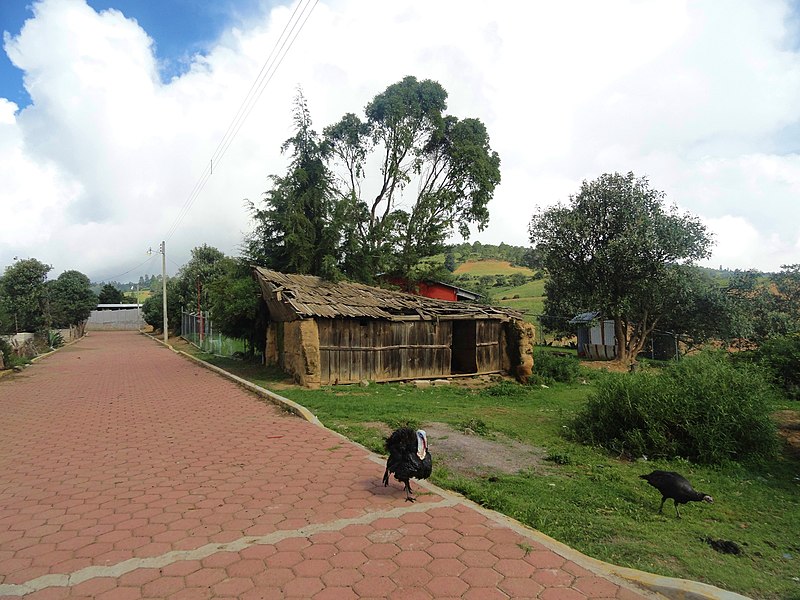 File:Old House and the Turkey - panoramio.jpg