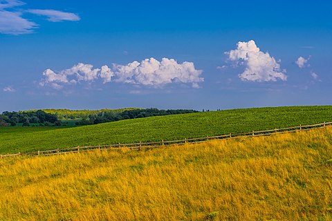 Colours of Ontario Countryside