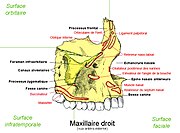 Descrierea acestei imagini, comentată și mai jos