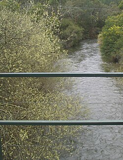 Духовки river.jpg