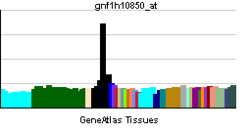 PBB GE OR8J3 gnf1h10850 ĉe tn.png