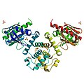 PBB Protein NF2 image.jpg