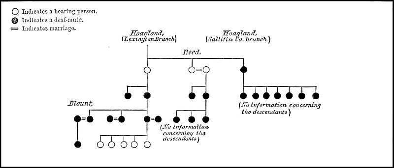 File:PSM V27 D034 The hoagland family of kentucky genealogy.jpg