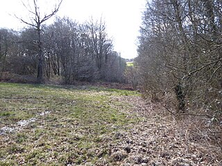 Paines Cross Meadow biological Site of Special Scientific Interest in East Sussex, England