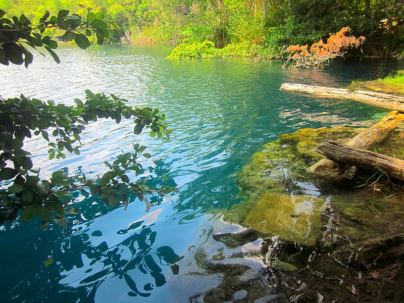 File:Paisaje en el Cenote Azul, Q. Roo, México. - panoramio.jpg