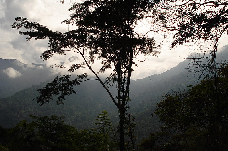 File:Parque Nacional Henri Pittier.JPG