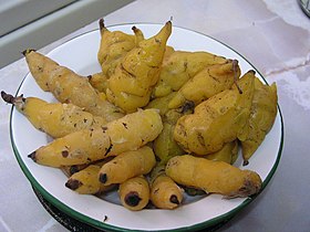 yellow mashua (Tropaeolum tuberosum)