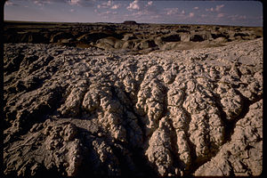 Petrified Forest National Park PEFO2105.jpg