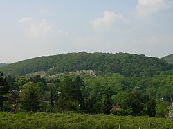 普法芬貝格山 (維也納)