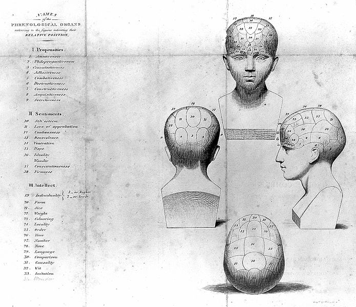 File:Phrenological head, G.A. Combe, 1824 Wellcome L0015296.jpg