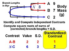The standardized contrasts are used in conventional statistical procedures, with the constraint that all regressions, correlations, analysis of covariance, etc., must pass through the origin. Phylogenetically Independent Contrasts 1.jpg