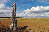 Milly-la-Forêt, Essonne. Pierre Droite