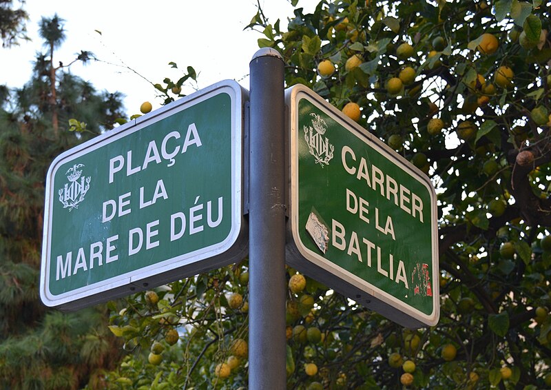 File:Plaça de la Mare de Déu - Carrer de la Batlia de València, plaques.JPG