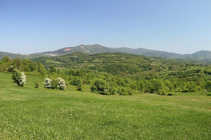 File:Planina Rudnik, pogled iz Majdana.jpg