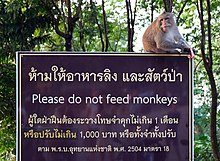 Macaque on a "Please do not feed monkeys" sign in Ko Chang, Thailand. Please do not feed monkeys Koh Chang.jpg