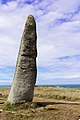 Le menhir de Cam Louis 14.