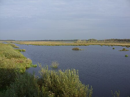 Polder Glies 02