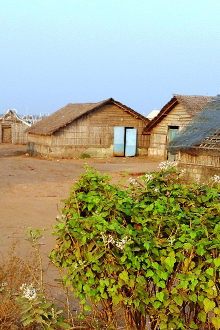 Ponnani Beach