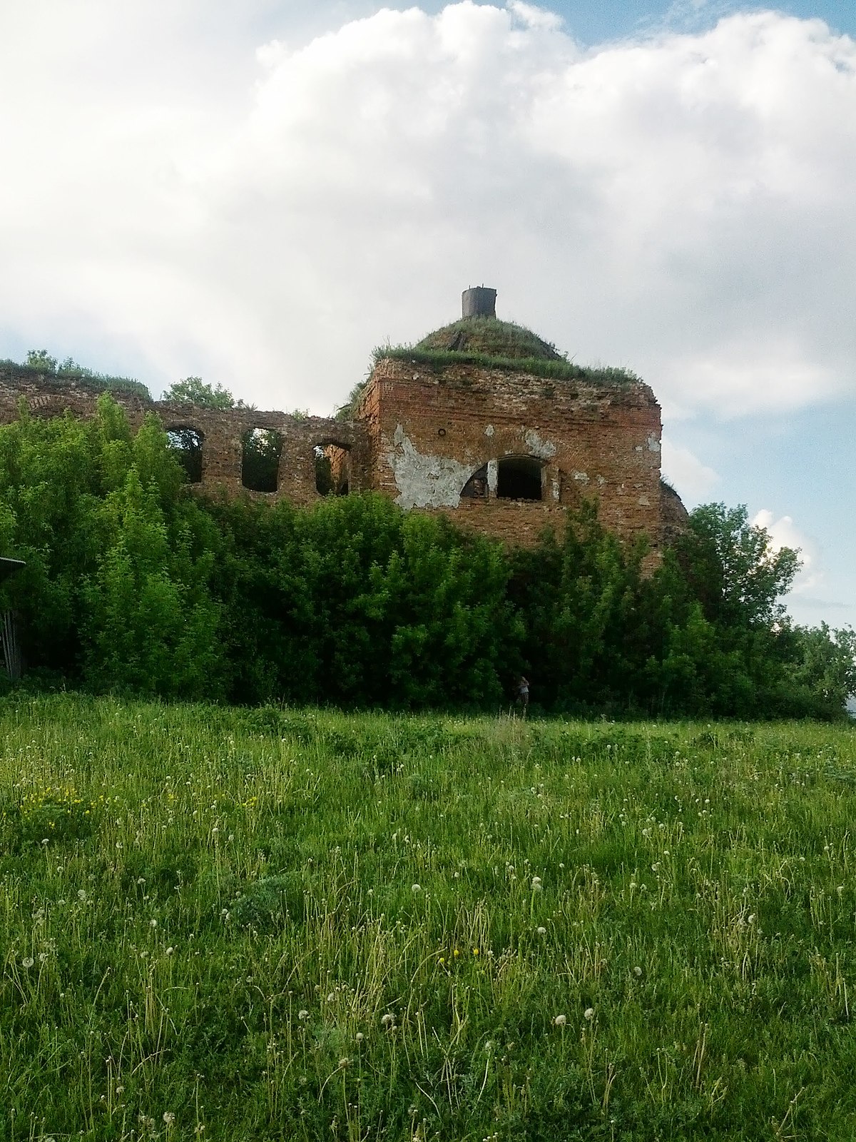 Деревня Будище Курская область