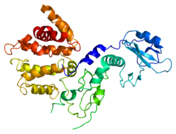 Протеин CHN2 PDB 1xa6.png