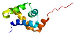 Protein SATB1 PDB 1yse.png