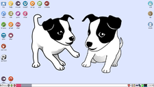 Puppy Linux 6.0