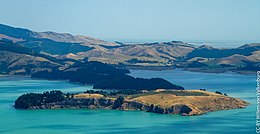 Quail Island 1347.jpg