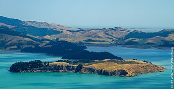 Quail Island 1347.jpg