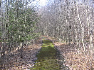 <span class="mw-page-title-main">M.K. Goddard/Wykoff Run Natural Area</span> Part of Pennsylvanias state forest