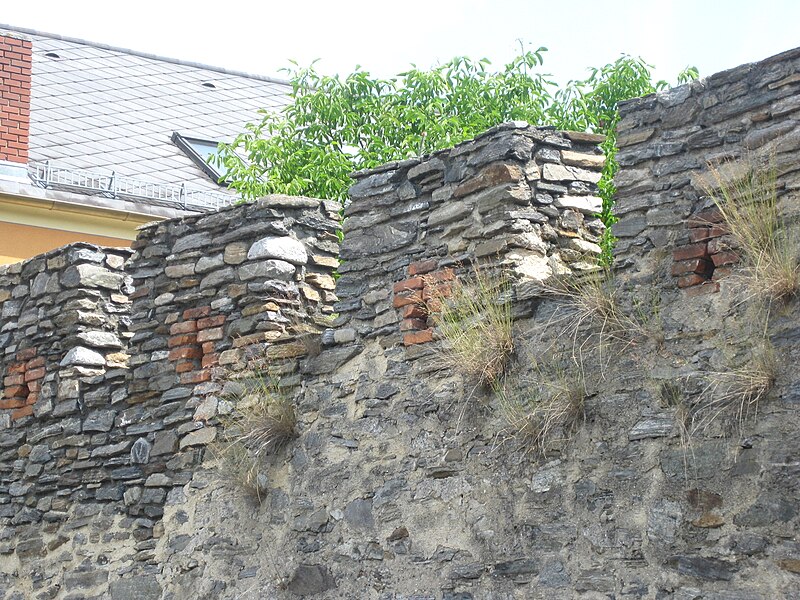 File:Raabs an der Thaya Stadtmauer 04.jpg